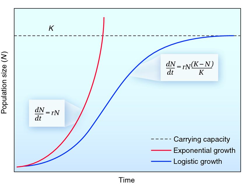 Population Growth Ch 11